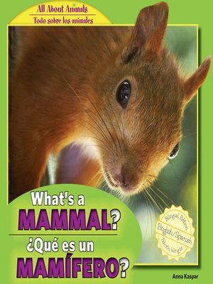 cover image of What's a Mammal? / ¿Qué es un mamífero?
